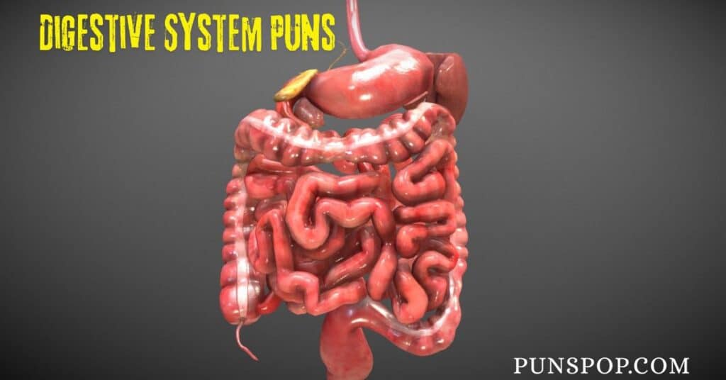 210+ Funny Digestive System Puns: Get Ready to Tickle Your Tummy with Laughter
