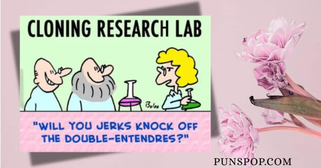 Double Entendre Jokes