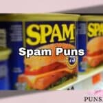 300 Hilarious Spam Puns That Will Leave You Sizzling with Laughter 🥓😂