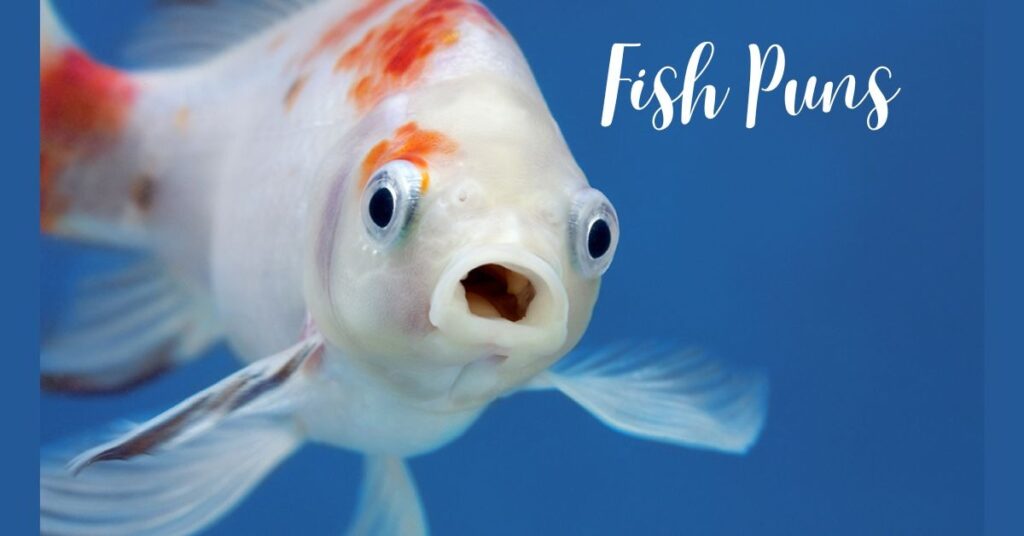 Fish Puns