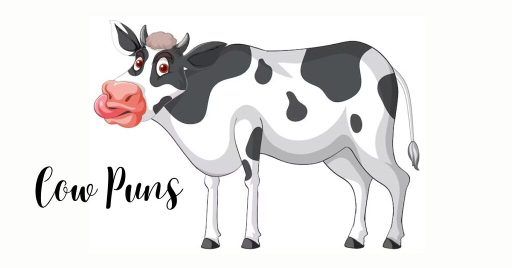Cow Puns