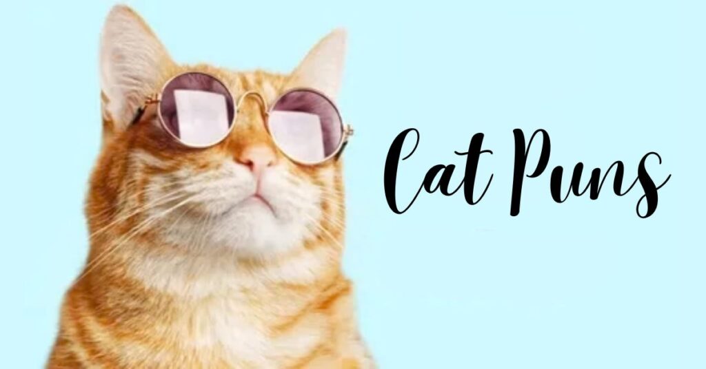 The Ultimate Guide to Cat Puns: 110+ Purr-fect Wordplay for Feline Fans 🐱