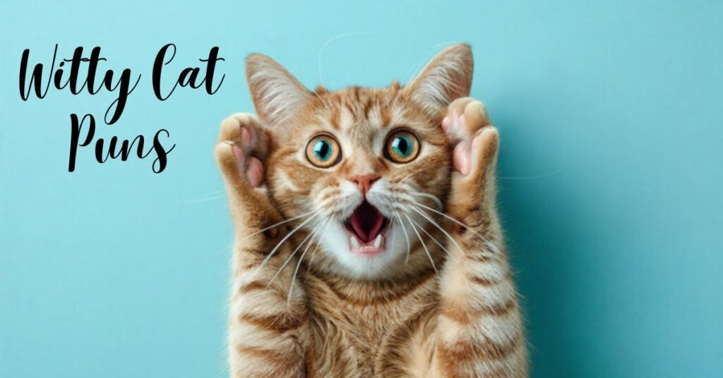 Cat Puns