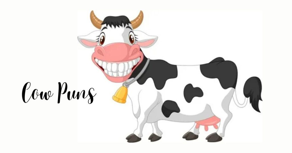 The Ultimate Moo-seum of Cow Puns: 230+ Udderly Hilarious Wordplays 🐮