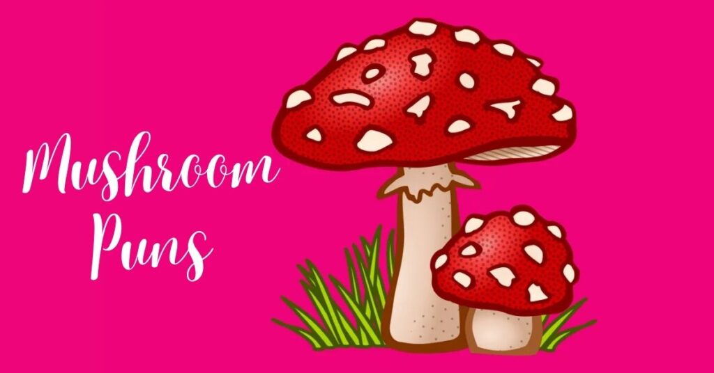 🍄 The Ultimate Mushroom Puns Collection: 260+ Fun-gi Jokes to Make You Laugh