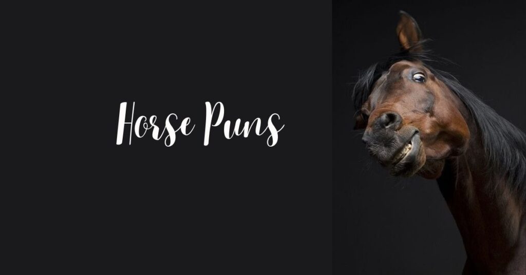 Horse Puns
