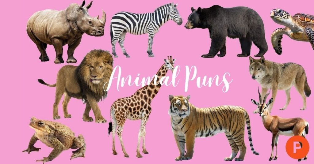 Animal Puns