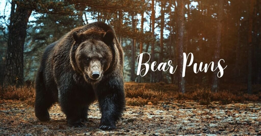 Bear Puns