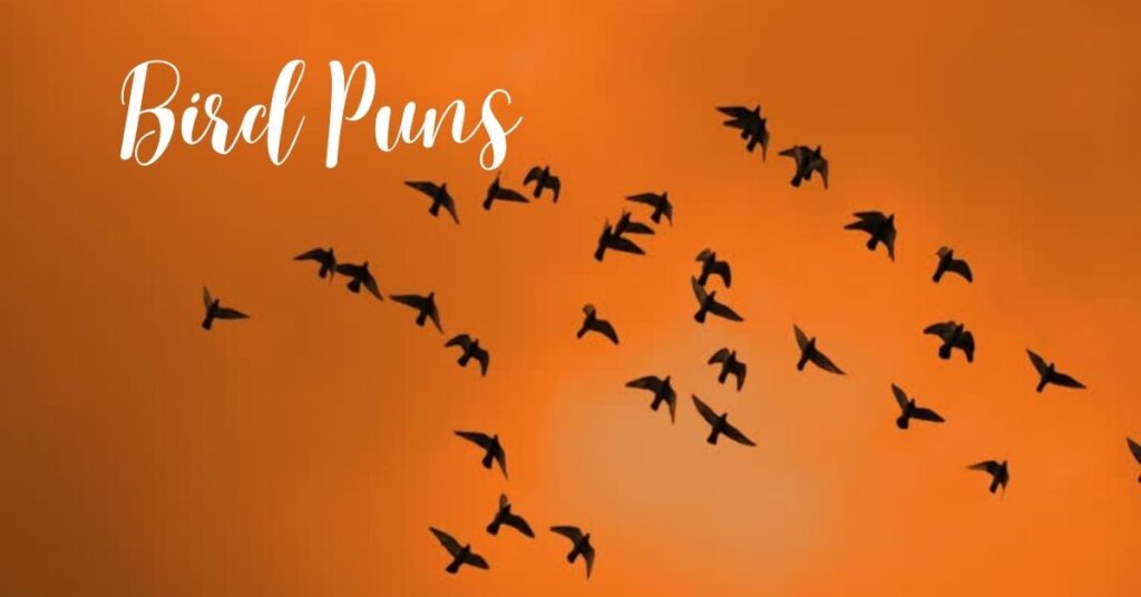 230+ Bird Puns That’ll Have You Flying High with Laughter 🦅