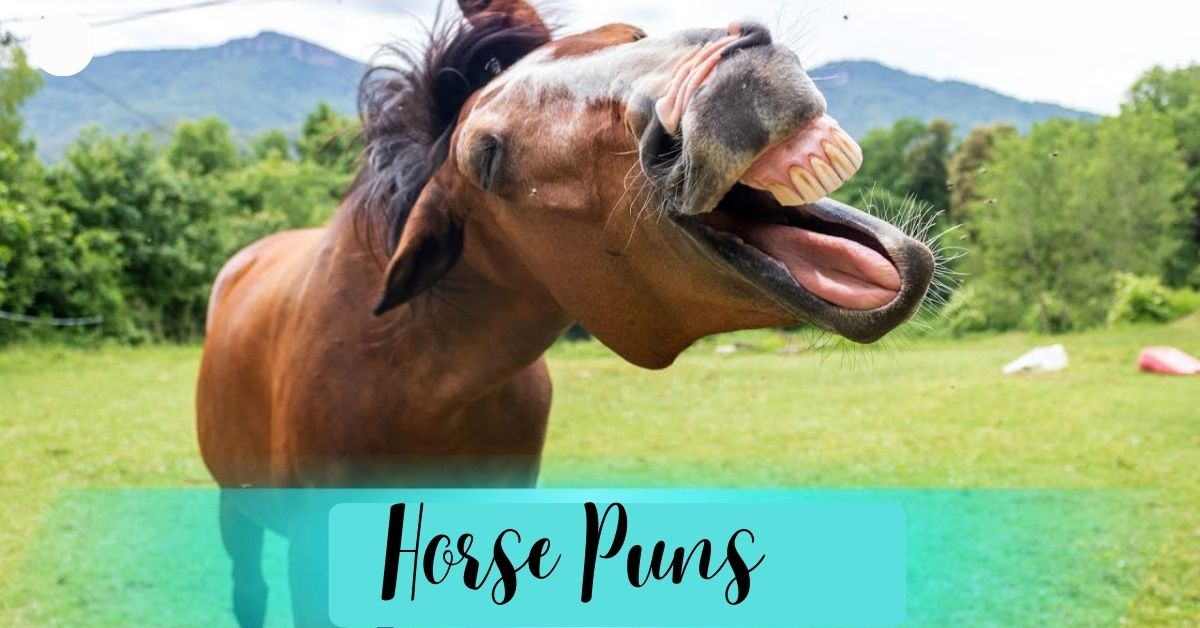 170+ Horse Puns That'll Have You Galloping with Laughter 🐴
