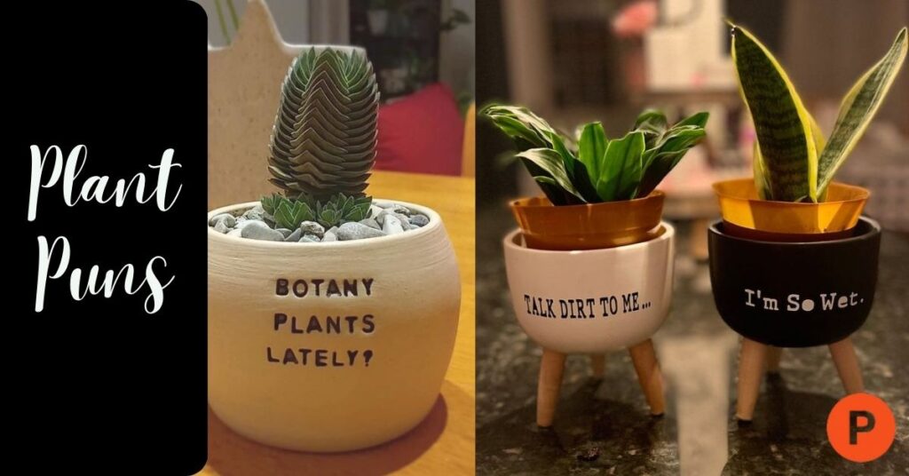 🌱 220+ Plant Puns That’ll Make Your Garden Party Bloom with Laughter