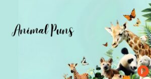 Animal Puns
