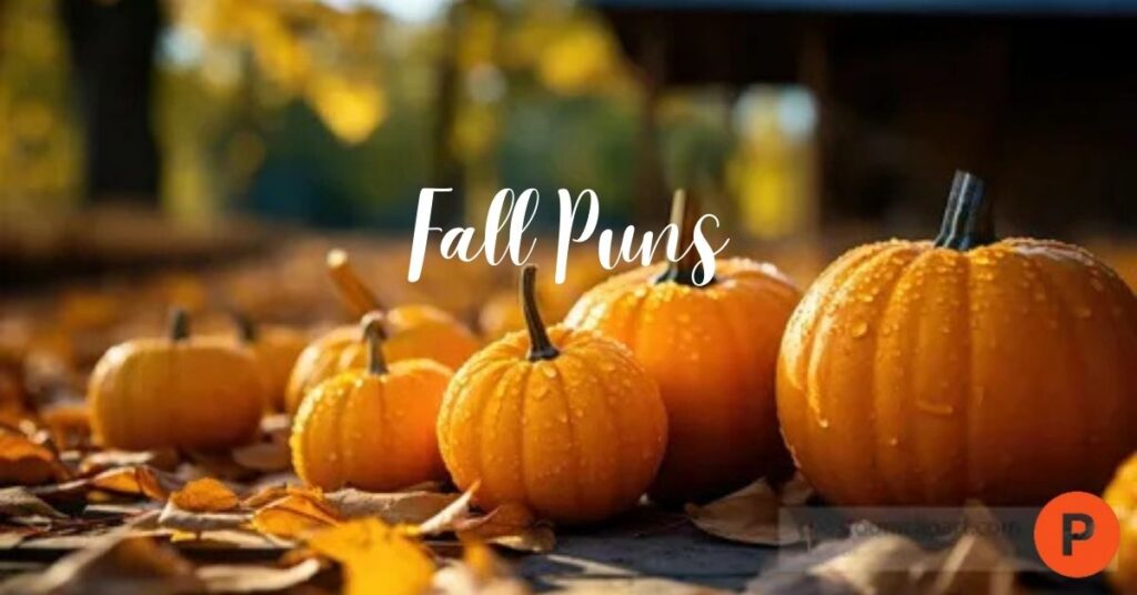 Fall Puns